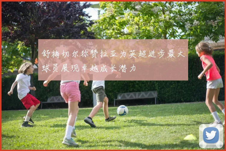 舒梅切尔称赞拉亚为英超进步最大球员展现卓越成长潜力